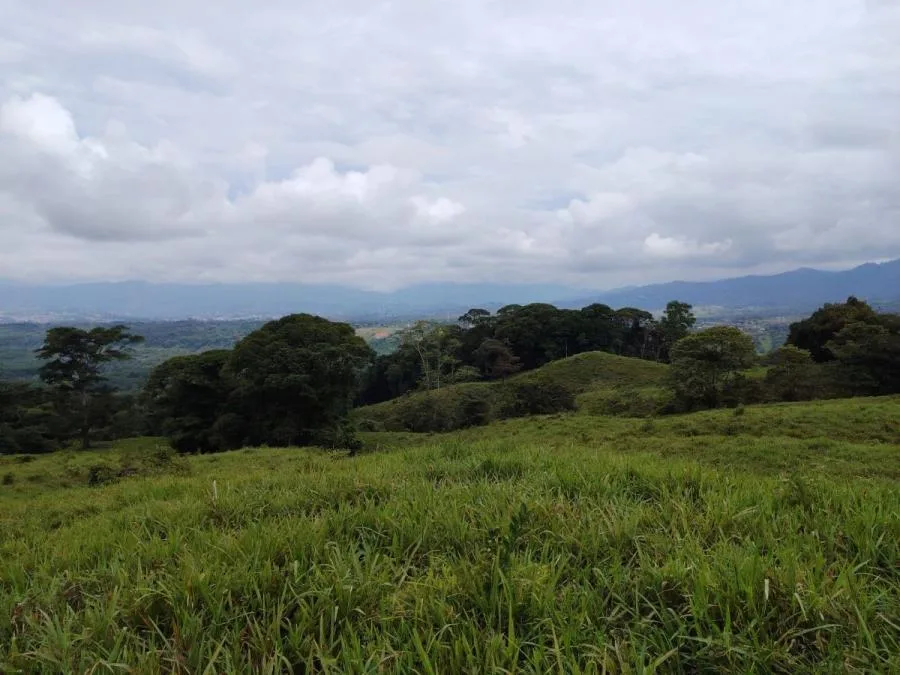 EN VENTA: IMPRESIONANTE FINCA DE 9 HECTÁREAS EN SAN BLAS CON NACIENTES - Venta en Perez Zeledón, photo 10