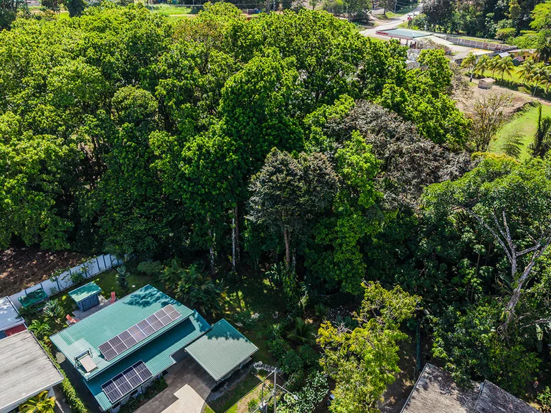 2 Bed Single Family Homes For Sale in Uvita, photo 4