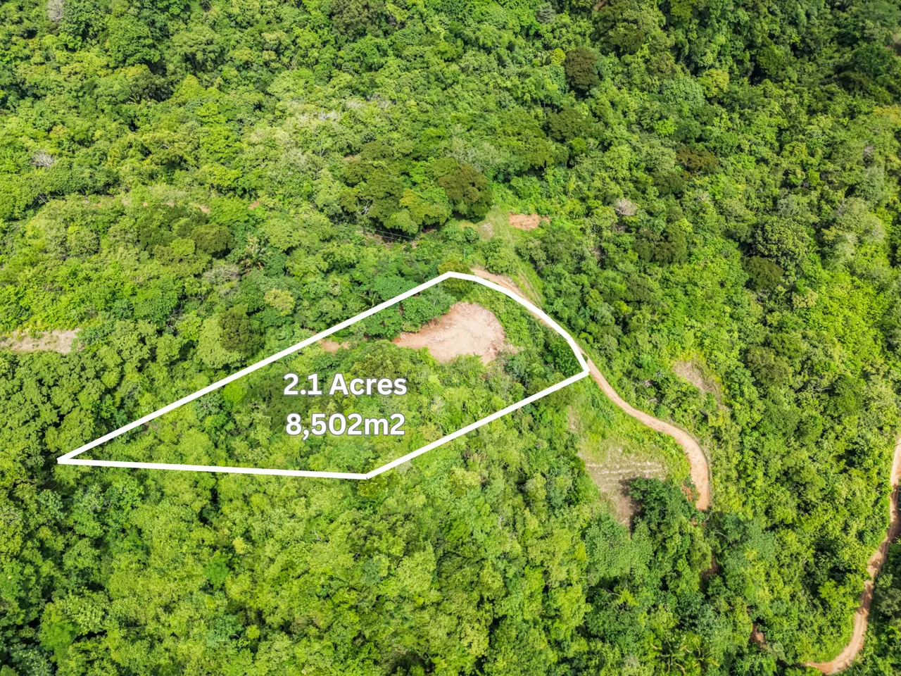 Lote Vista Lapa - 2.1 Acre Ocean View Lot, photo 4