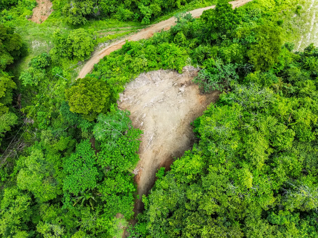 Lote Vista Lapa - 2.1 Acre Ocean View Lot, photo 6