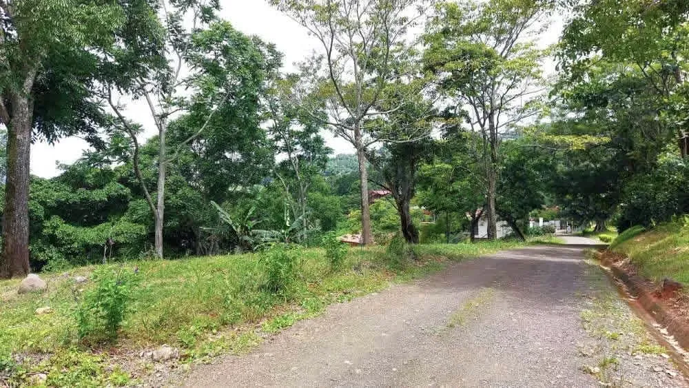 LOTE MAYRA is a gorgeous 5,002m² (1.25 acres) ready-to-build residential lot surrounded by Nature in Altos Los Cafetales in Puriscal. It has huge terrace ready to build, water-meter ..., photo 2