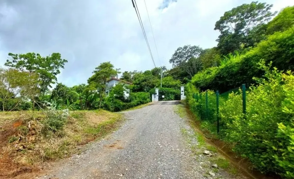 LOTE MAYRA is a gorgeous 5,002m² (1.25 acres) ready-to-build residential lot surrounded by Nature in Altos Los Cafetales in Puriscal. It has huge terrace ready to build, water-meter ..., photo 12