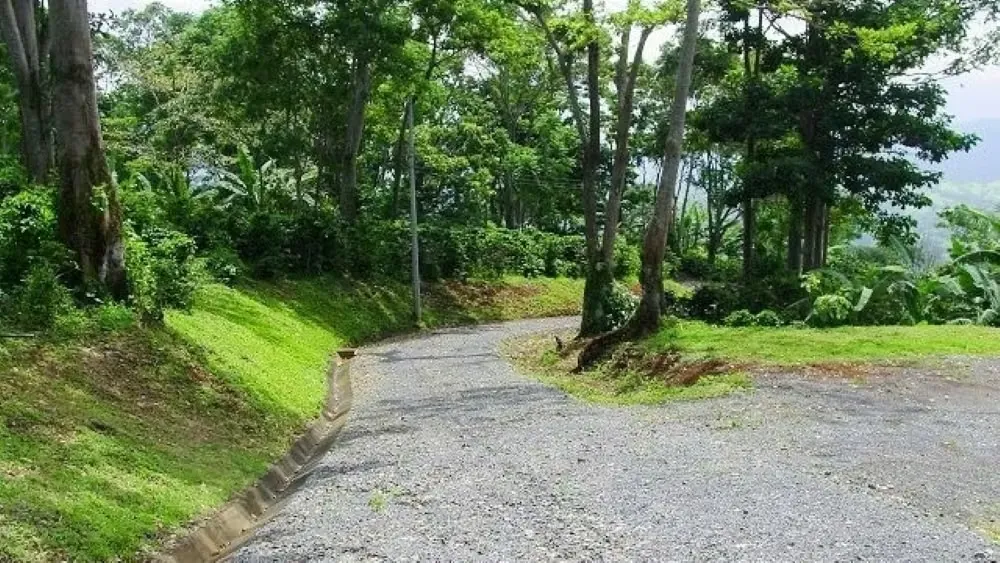LOTE MAYRA is a gorgeous 5,002m² (1.25 acres) ready-to-build residential lot surrounded by Nature in Altos Los Cafetales in Puriscal. It has huge terrace ready to build, water-meter ..., photo 4