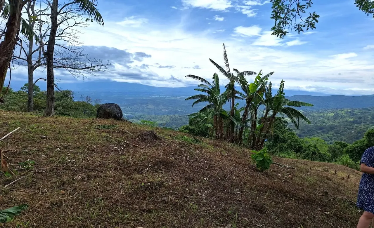 LOTE MAYRA is a gorgeous 5,002m² (1.25 acres) ready-to-build residential lot surrounded by Nature in Altos Los Cafetales in Puriscal. It has huge terrace ready to build, water-meter ..., photo 5