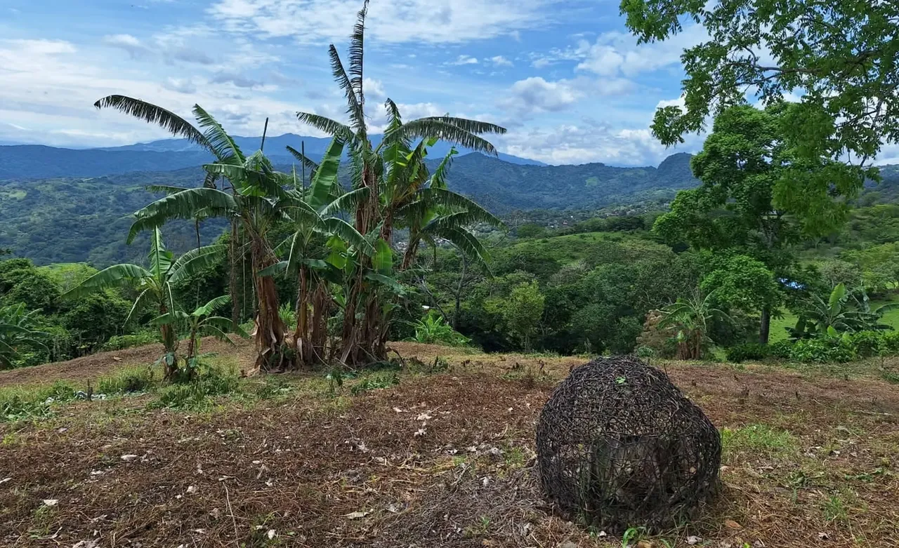 LOTE MAYRA is a gorgeous 5,002m² (1.25 acres) ready-to-build residential lot surrounded by Nature in Altos Los Cafetales in Puriscal. It has huge terrace ready to build, water-meter ..., photo 6