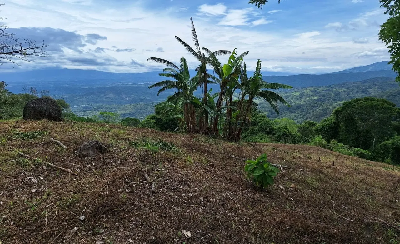 LOTE MAYRA is a gorgeous 5,002m² (1.25 acres) ready-to-build residential lot surrounded by Nature in Altos Los Cafetales in Puriscal. It has huge terrace ready to build, water-meter ..., photo 8
