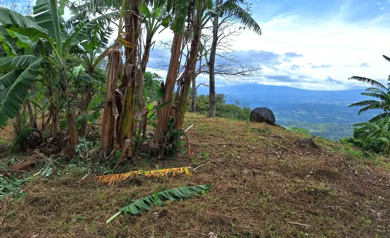 LOTE MAYRA is a gorgeous 5,002m² (1.25 acres) ready-to-build residential lot surrounded by Nature in Altos Los Cafetales in Puriscal. It has huge terrace ready to build, water-meter ..., photo 9
