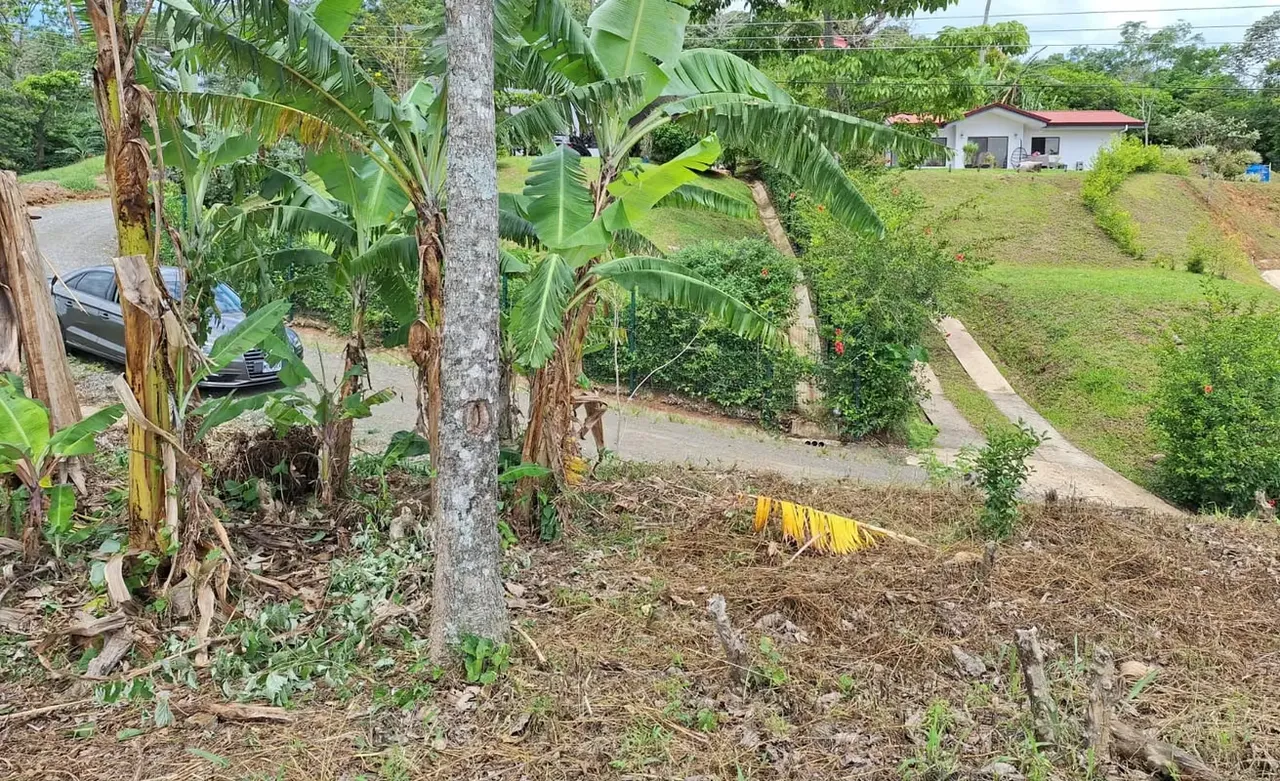 LOTE MAYRA is a gorgeous 5,002m² (1.25 acres) ready-to-build residential lot surrounded by Nature in Altos Los Cafetales in Puriscal. It has huge terrace ready to build, water-meter ..., photo 10