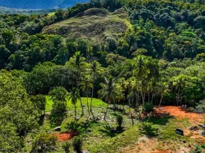 Just Over 3 Acres Riverfront Land in Platanillo Above Dominical, photo 15