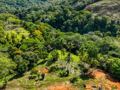 Just Over 3 Acres Riverfront Land in Platanillo Above Dominical, photo 16