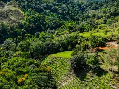 Just Over 3 Acres Riverfront Land in Platanillo Above Dominical, photo 17