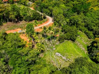 Just Over 3 Acres Riverfront Land in Platanillo Above Dominical, photo 19