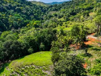 Just Over 3 Acres Riverfront Land in Platanillo Above Dominical, photo 20