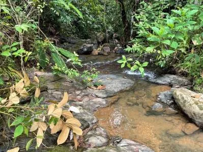 Just Over 3 Acres Riverfront Land in Platanillo Above Dominical, photo 21