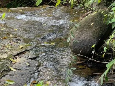 Just Over 3 Acres Riverfront Land in Platanillo Above Dominical, photo 22