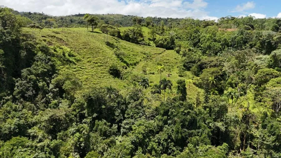 FINCA EN VENTA COSTA RICA 4 HA CON VISTA Y QUEBRADAS - Venta en Perez Zeledón, photo 12