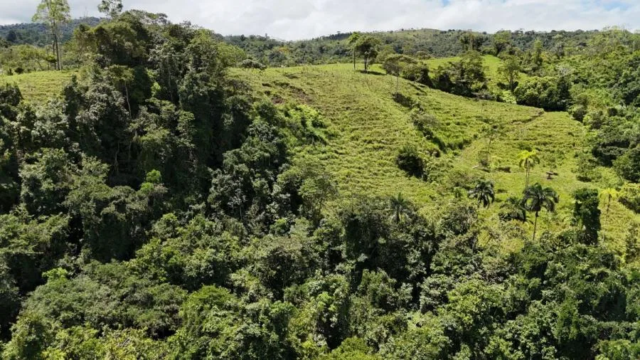 FINCA EN VENTA COSTA RICA 4 HA CON VISTA Y QUEBRADAS - Venta en Perez Zeledón, photo 13
