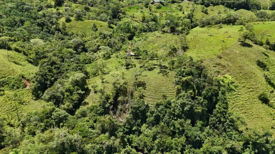 FINCA EN VENTA COSTA RICA 4 HA CON VISTA Y QUEBRADAS - Venta en Perez Zeledón, photo 8