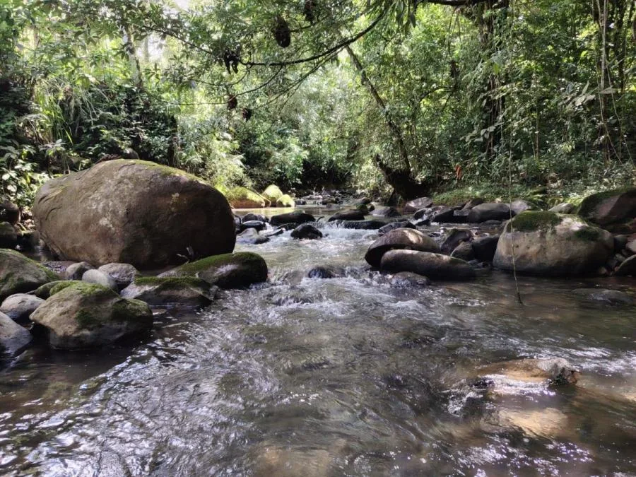FINCA EN VENTA COSTA RICA 4 HA CON VISTA Y QUEBRADAS - Venta en Perez Zeledón, photo 10
