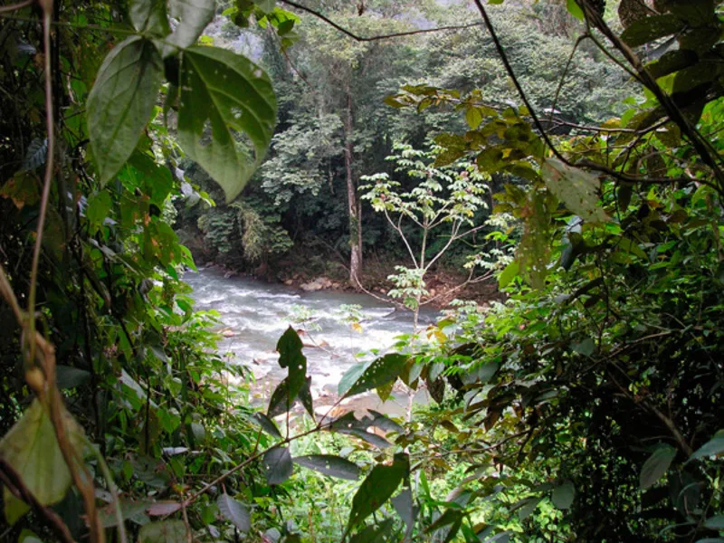 Land For Sale in Dominical