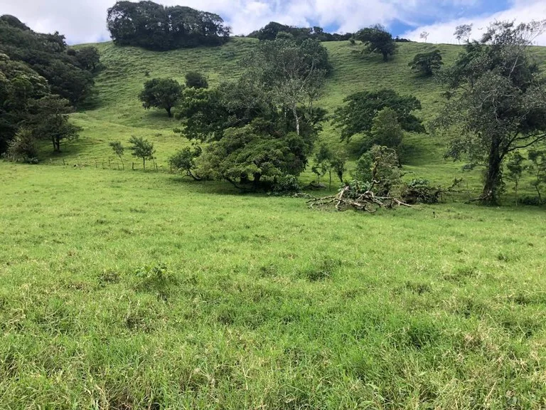 Beautiful property with lake view - Arenal, photo 12
