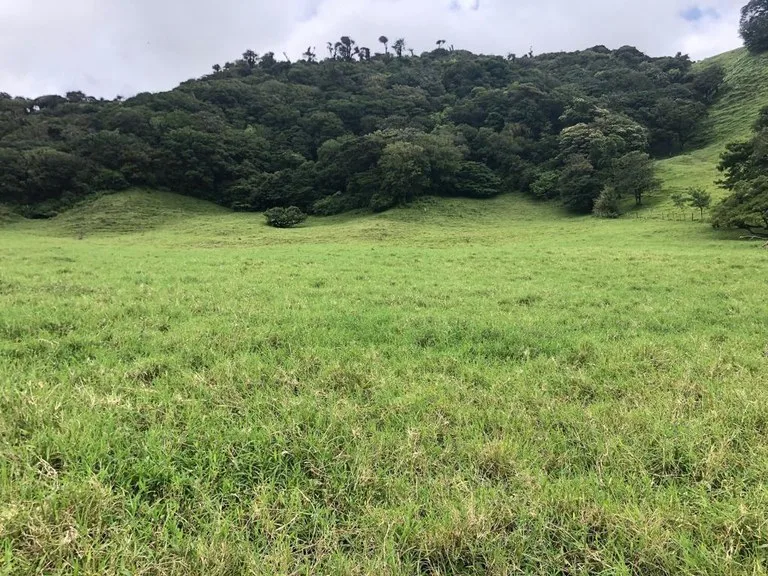 Beautiful property with lake view - Arenal, photo 3