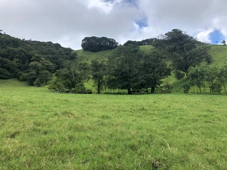 Beautiful property with lake view - Arenal, photo 5