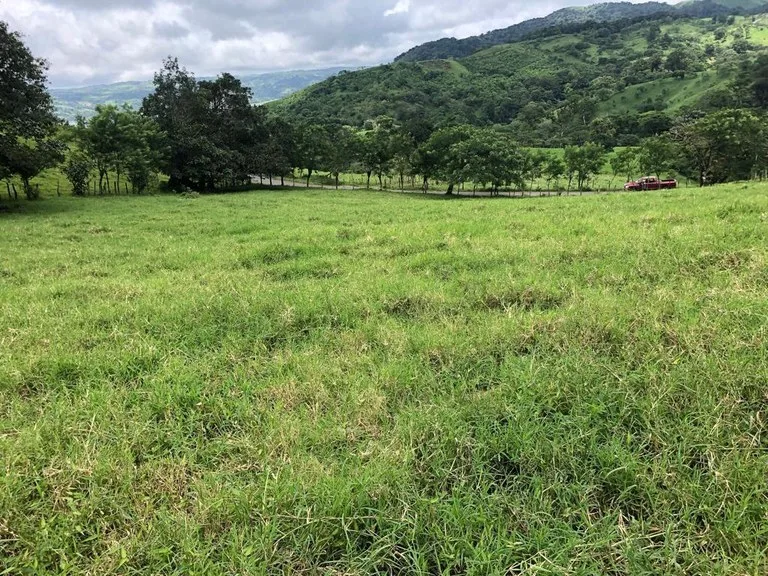 Beautiful property with lake view - Arenal, photo 9
