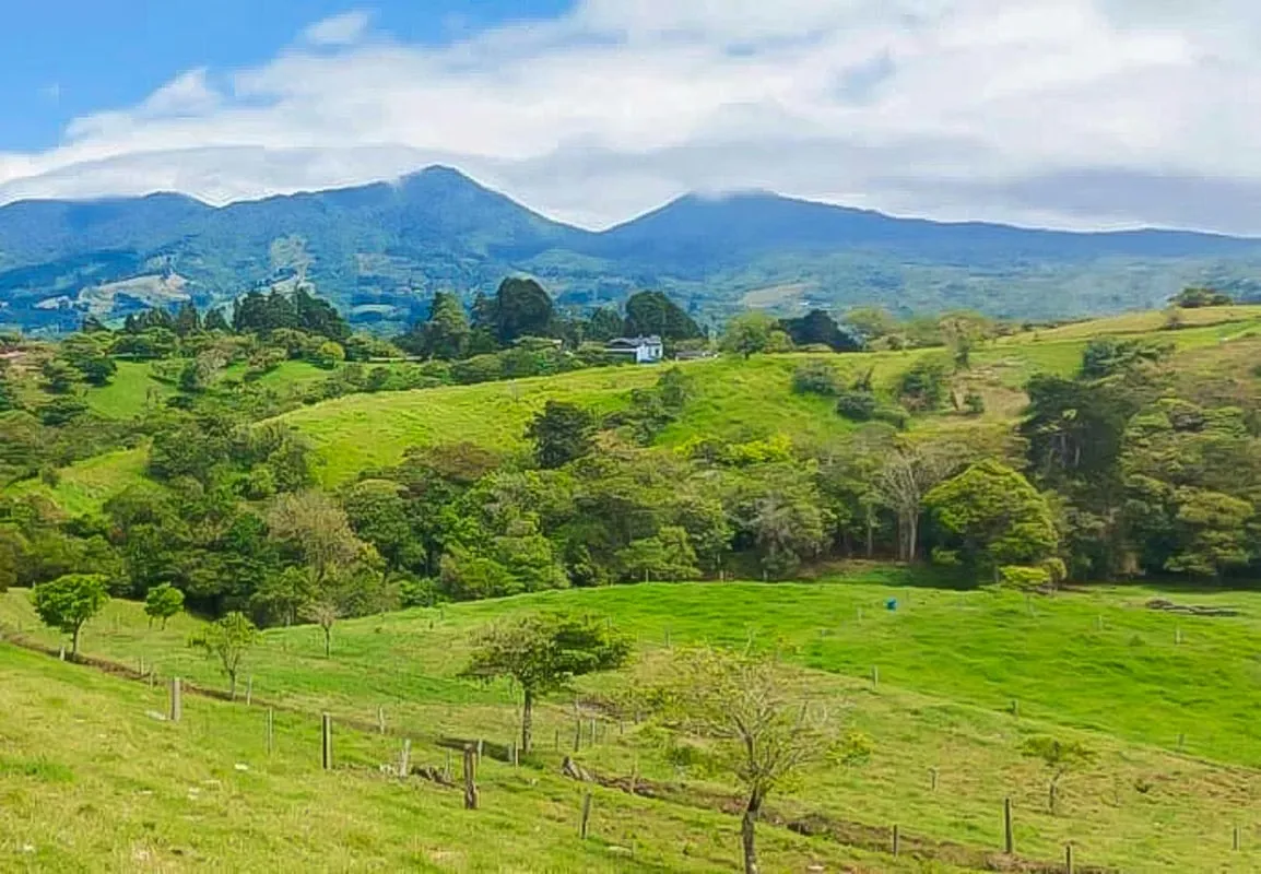Unique opportunity in Costa Rica for investors in the dairy industry!