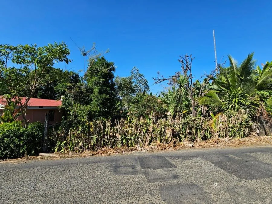 Venta de Lote en Pérez Zeledón - Venta en Perez Zeledón