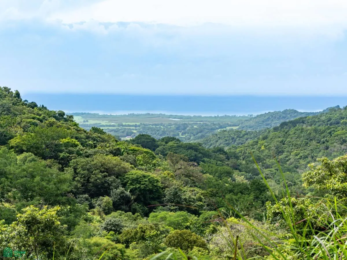 Oceanview Lots in Pilas de Bejuco, Guanacaste