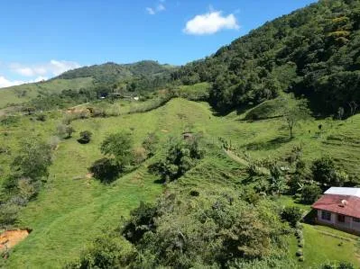 Impresionante Finca con Vista a la Montaña en Chimirol, Pérez Zeledón, photo 3