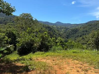Impresionante Finca con Vista a la Montaña en Chimirol, Pérez Zeledón, photo 7