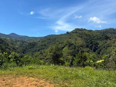 Impresionante Finca con Vista a la Montaña en Chimirol, Pérez Zeledón, photo 8