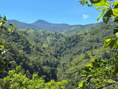 Impresionante Finca con Vista a la Montaña en Chimirol, Pérez Zeledón, photo 10