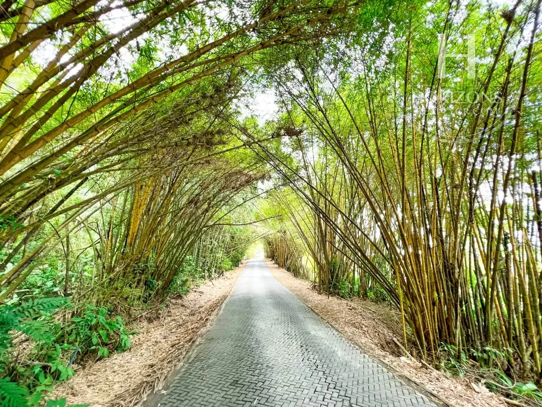 Lote en Venta en Condominio Bambú en Punta Leona 418 m² con Acceso a NJA1391SK, photo 3
