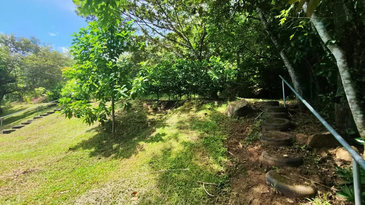 Lote en venta en Altos de San Pablo Turrubares 1500 m2, photo 12