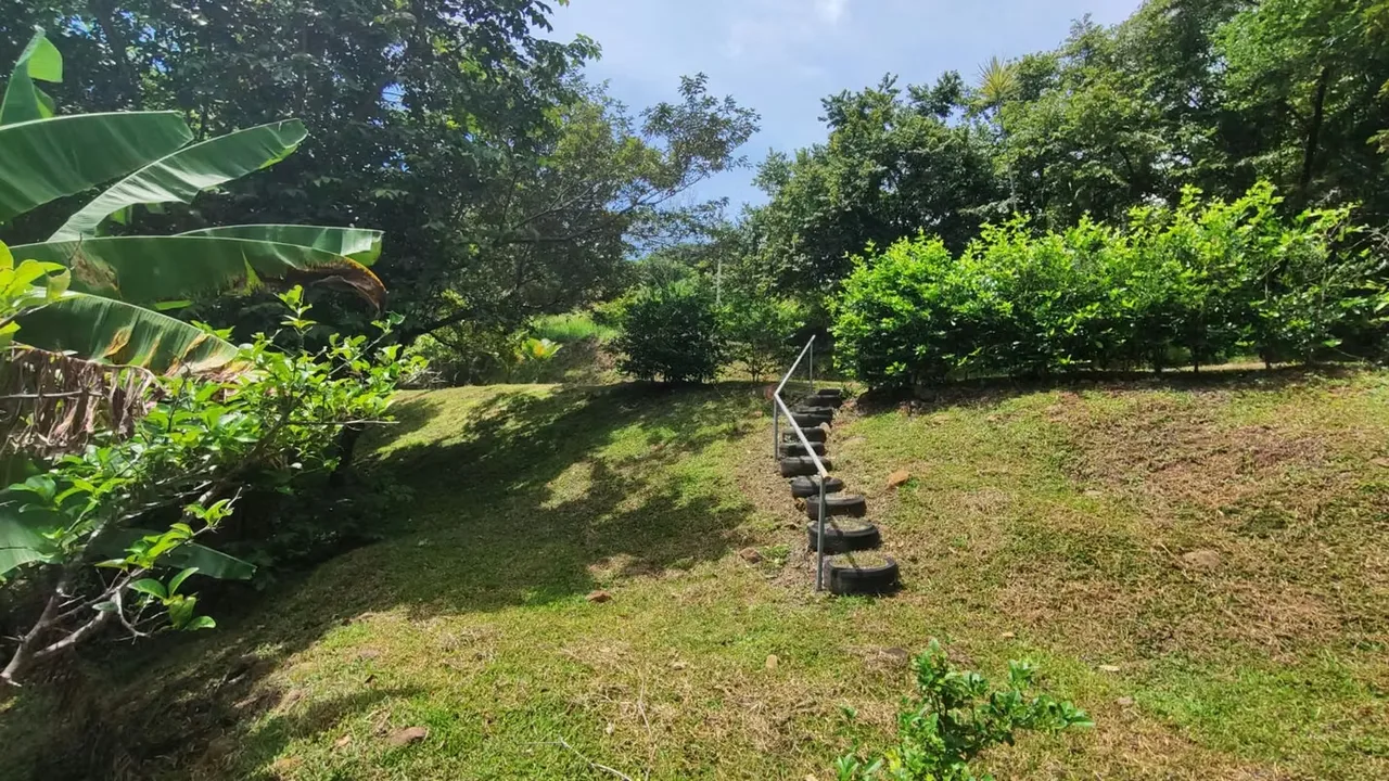 Lote en venta en Altos de San Pablo Turrubares 1500 m2, photo 3