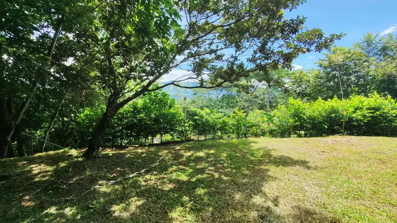 Lote en venta en Altos de San Pablo Turrubares 1500 m2, photo 8