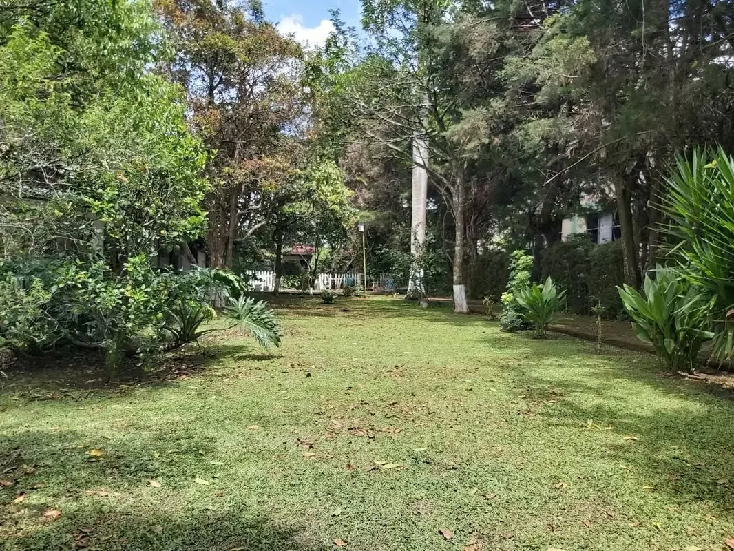 Farms for sale in San Pedro Montes de Oca, San José 14561, photo 3