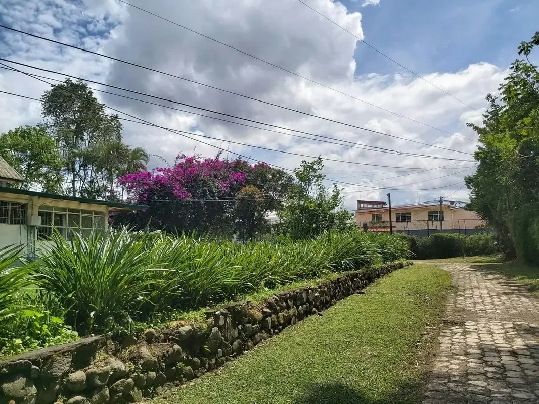 Farms for sale in San Pedro Montes de Oca, San José 14561, photo 6