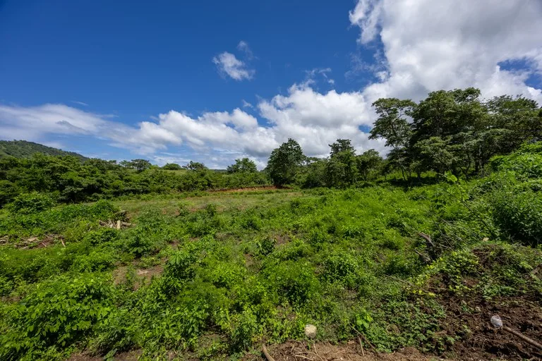 Lot Norte – Potrero: 5,000 m² Flat Build-Ready Lot Near the Beach, photo 11