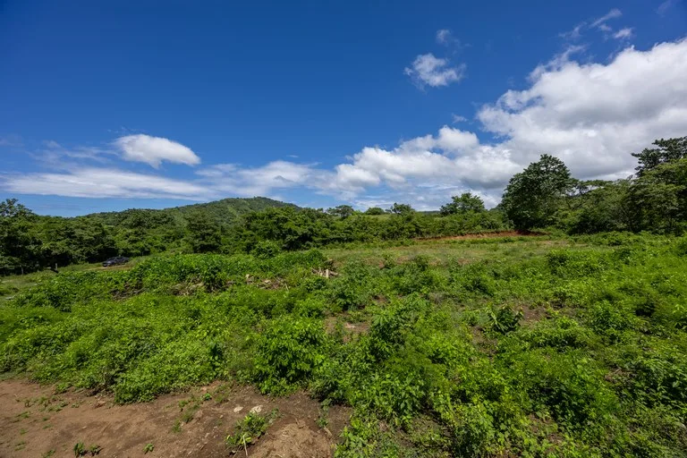 Lot Norte – Potrero: 5,000 m² Flat Build-Ready Lot Near the Beach, photo 12