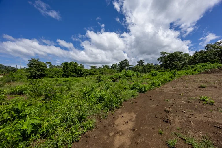 Lot Norte – Potrero: 5,000 m² Flat Build-Ready Lot Near the Beach, photo 13