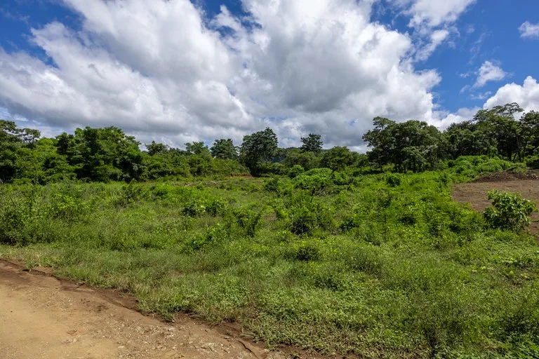 Lot Norte – Potrero: 5,000 m² Flat Build-Ready Lot Near the Beach, photo 14