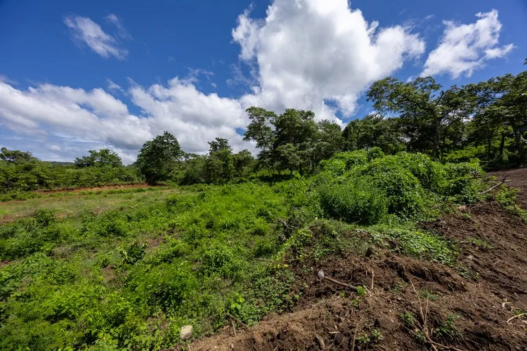 Lot Norte – Potrero: 5,000 m² Flat Build-Ready Lot Near the Beach, photo 10