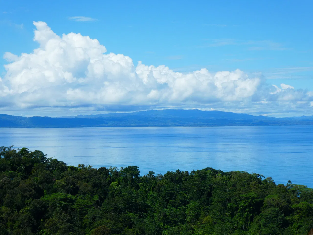 Large Pavones Oceanview Estate - RE/MAX Jungle Properties
