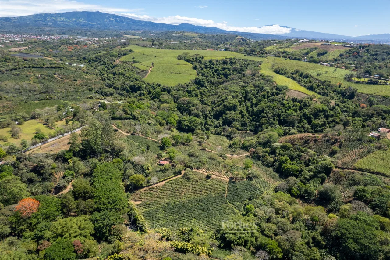 La finca del café, Poás