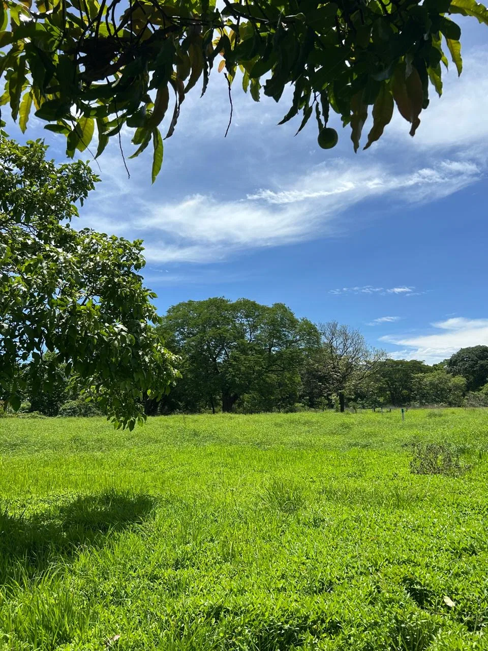 Property in Barra Honda de Mansion Nicoya 506 8947 7676