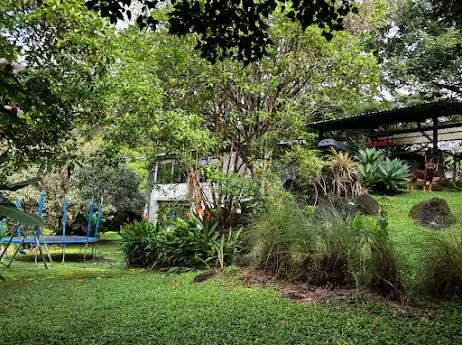 5,371 m² plot + 189 m² contemporary design studio + spacious parking. Excellent location near supermarkets, schools, and all amenities, making this a great choice., photo 5